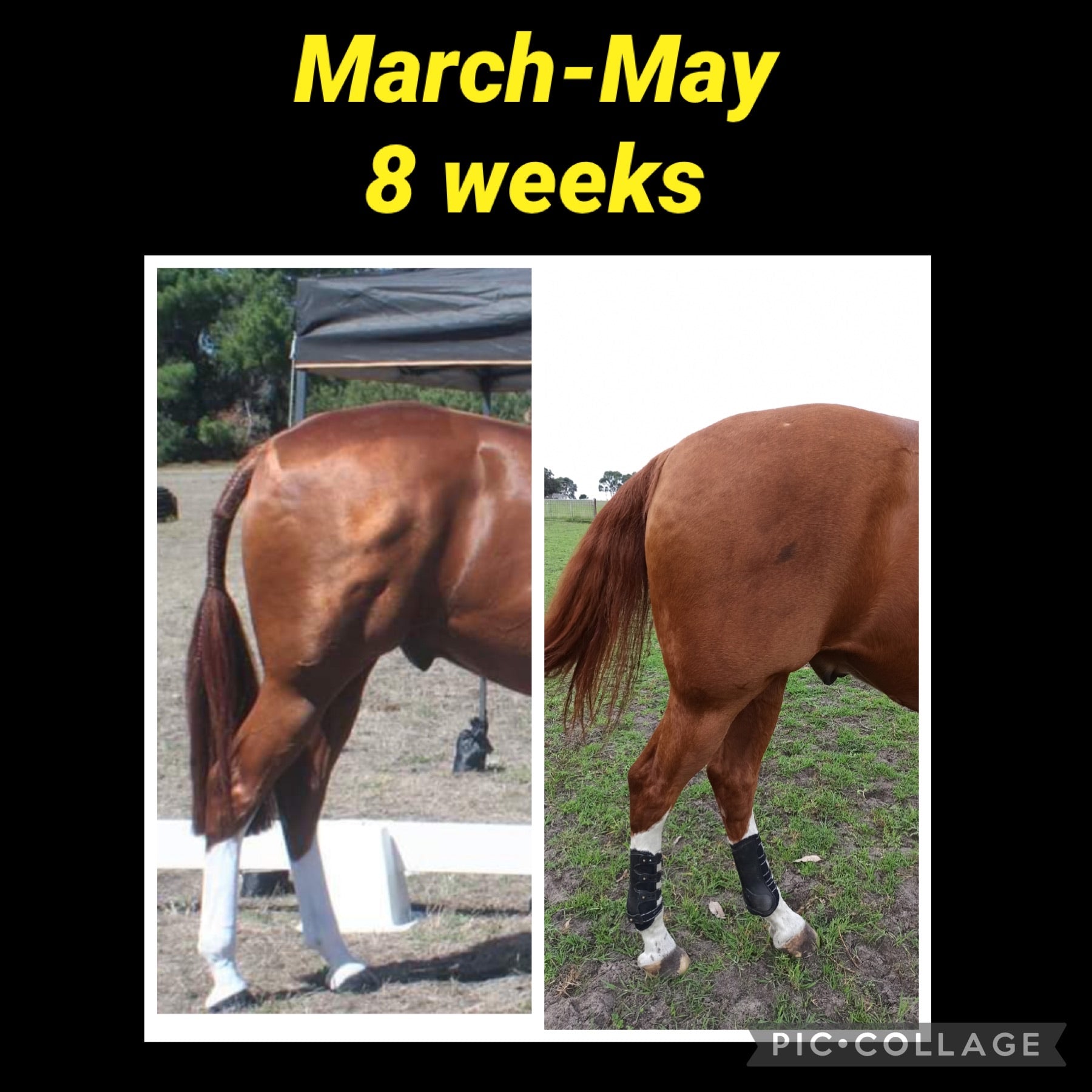 K&M BIG Booty