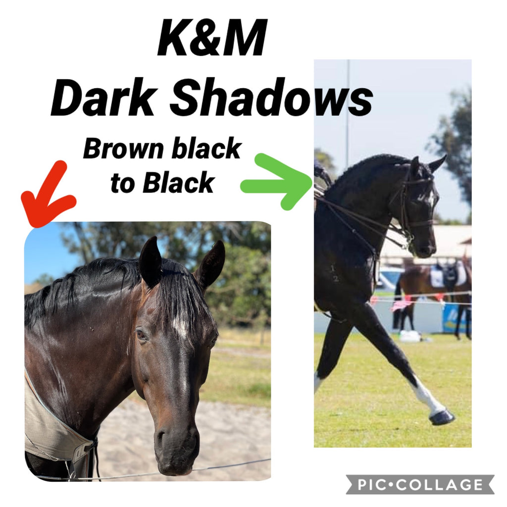 K&M Dark Shadow